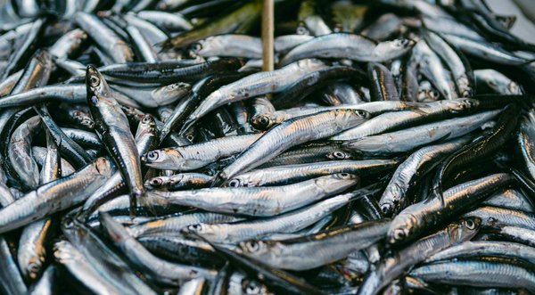 Après la grossesse : retrouver son corps et gérer les changements