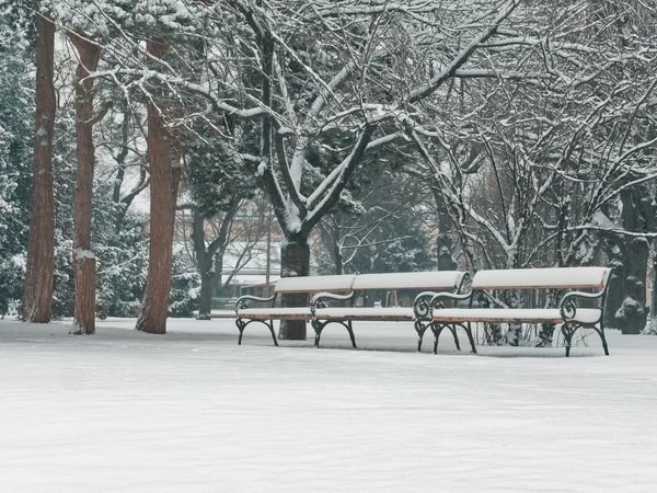 Formation massage en binôme : découvrez les gestes essentiels