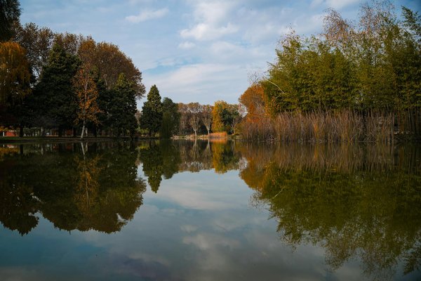 Découvrir des formes de méditation insolites